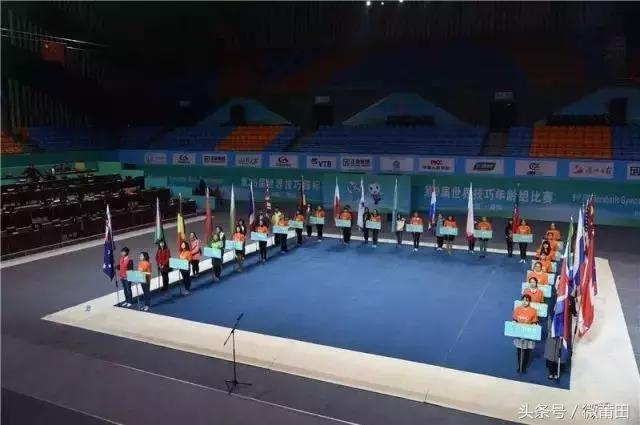 羽毛球林丹最新消息,李宗伟新消息