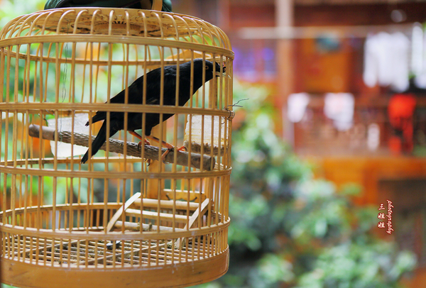 龚滩吴冠中乌江小镇 (乌江画廊龚滩古镇桃花源)