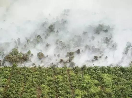 你所不知道的自然景观,你所不知道城市的另一面