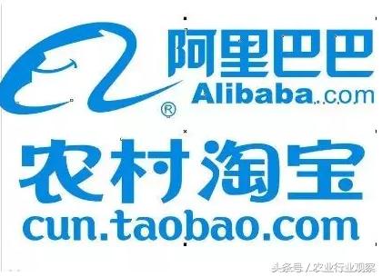 农村淘宝的发展运营模式,淘宝农村创业经营计划