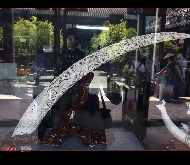 广州牙雕著名作品,极品传神古朴牙雕