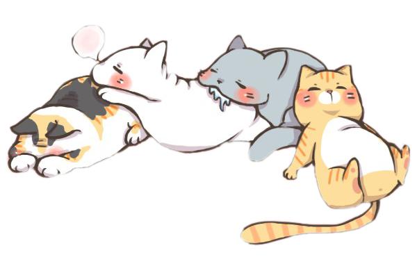 兽医不告诉你的秘密,兽医不会告诉你的秘诀