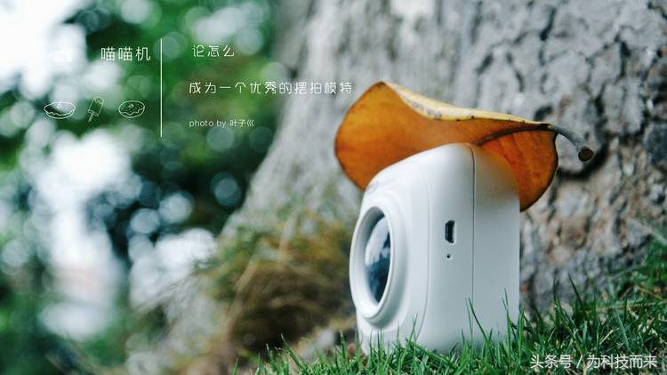 小的打印机怎么打印字,小的打印机怎么放纸