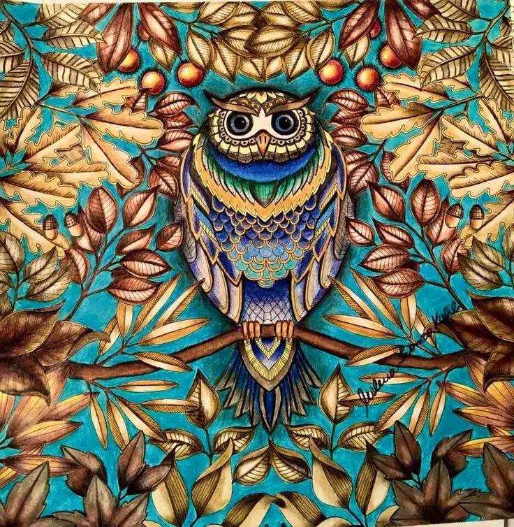 秘密花园2涂色成品,秘密花园涂色详细教程