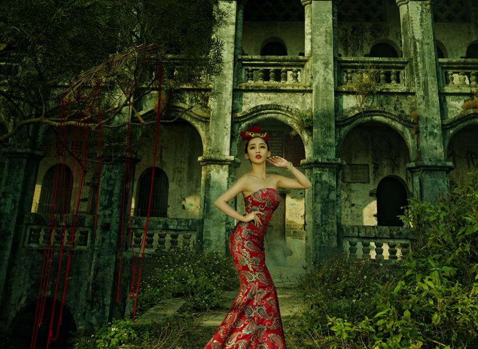 广西博白县桂圆柚之乡,广西博白桂圆2023批发价格