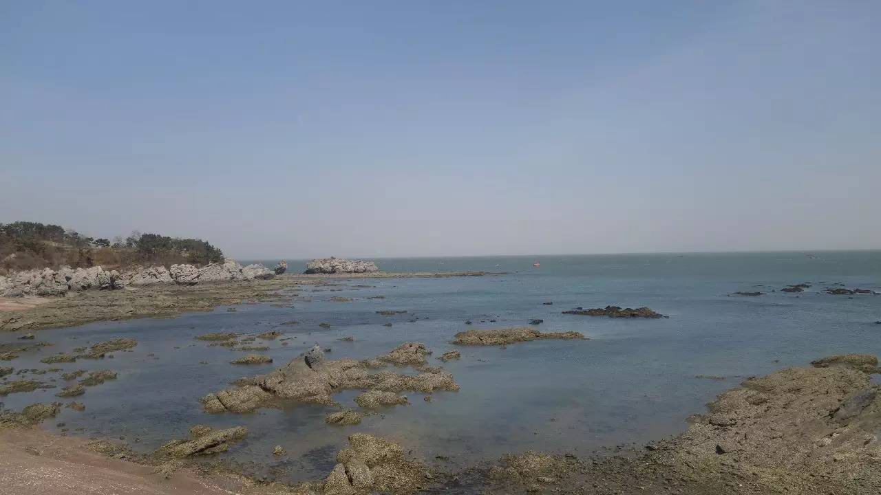 大连东北路有什么好玩的,大连哪里的海岸好玩