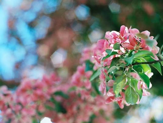 正能量的图片配文字励志,哲理人生经典语录文字图片