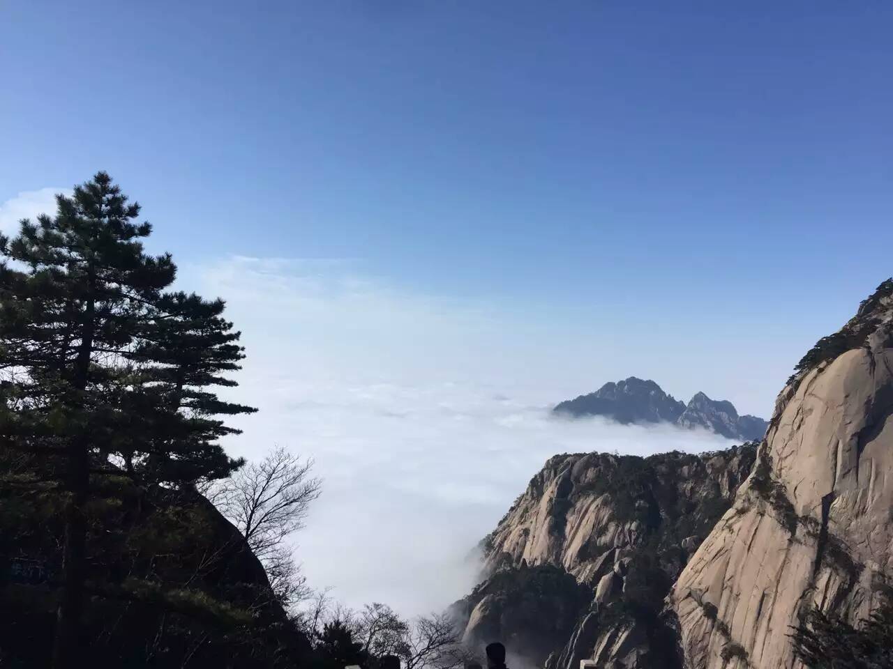 深股今天大盘行情,个股调整的表现