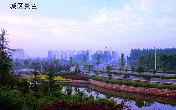 漯河最牛村,漯河最牛的镇