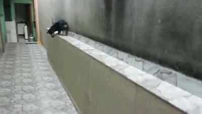 蝴蝶结系法慢动作diy,三秒蝴蝶结系法