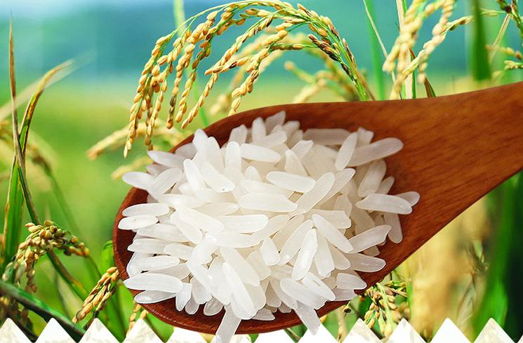 大米发黄怎么回事,大米发黄能吃吗