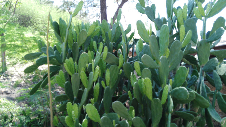 海岛体验,泰国旅游格兰岛攻略