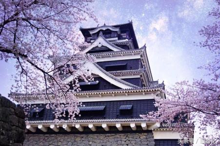 不用签证可以去韩国吗,不用签证能去日本旅游吗