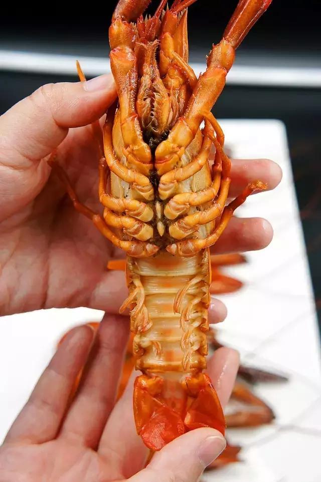 上海清水小龙虾,上海澳洲小龙虾