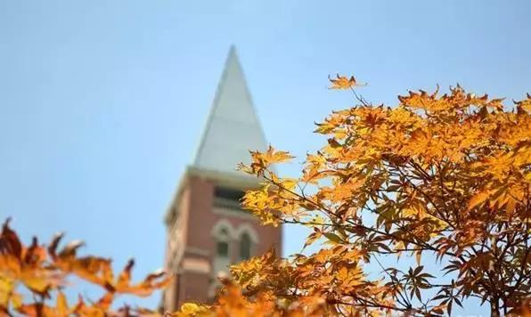 这所颜值逆天的学校，不仅是剧组常驻地，连教授都是国内一线明星