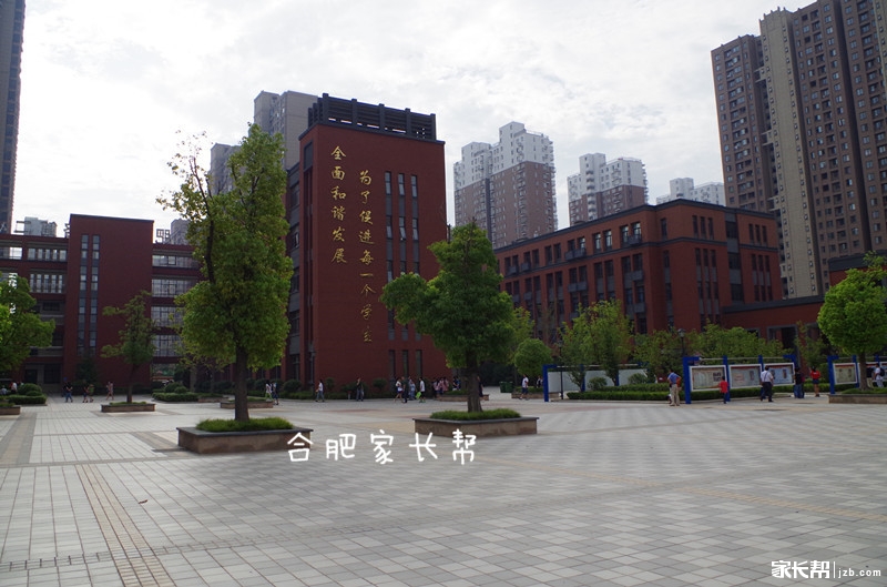 合肥市45中橡树湾校区独立招生,合肥45中橡树湾校区地图