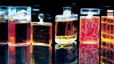 兰蔻法式玫瑰园,兰蔻奇迹香氛奇迹绽放