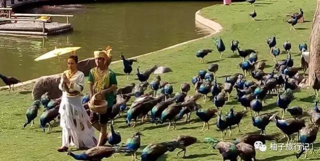 泼水节西双版纳旅游需要注意什么,西双版纳泼水节防晒攻略