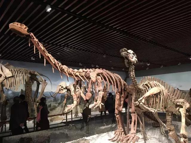 不花一分钱游遍美景,不花一分钱游遍全世界