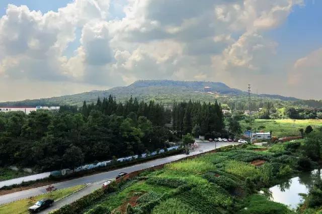 不花一分钱游遍中国,南京六个小众景点