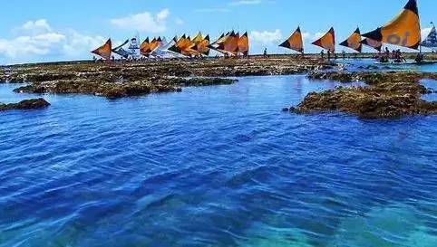 足球王国巴西,花儿与少年去玩视频