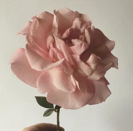 你的微信名字暴露你的个性,你的微信名可能暴露了你的层次