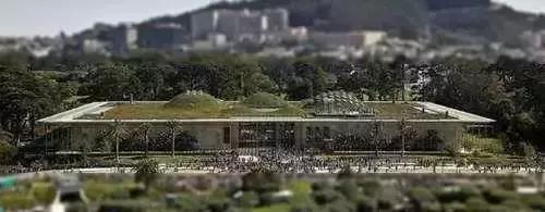 两富二代大量炸毁化石，开枪埋雷不惜破产，竟是为了*论发**文争名利