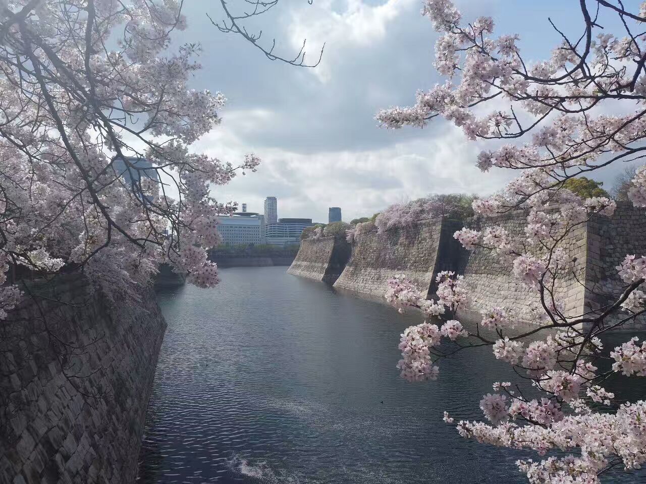 初游日本,日本最值得尊敬的对手