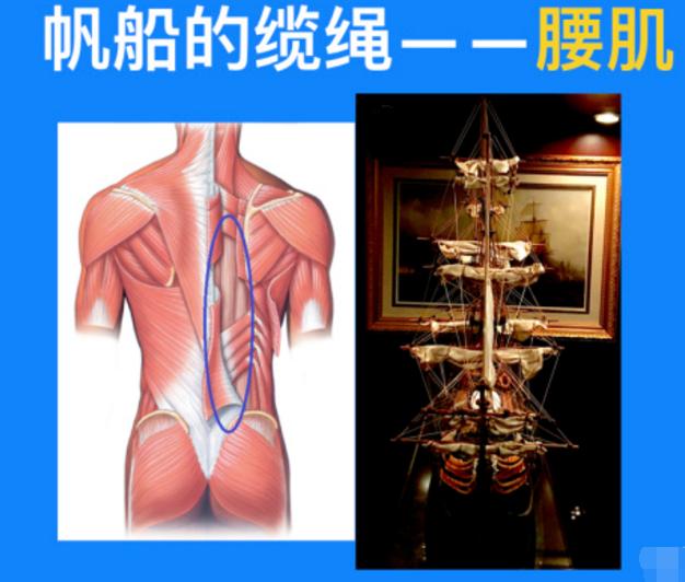 为什么腰椎越舒服越不健康,为什么腰椎不痛了腿还胀痛