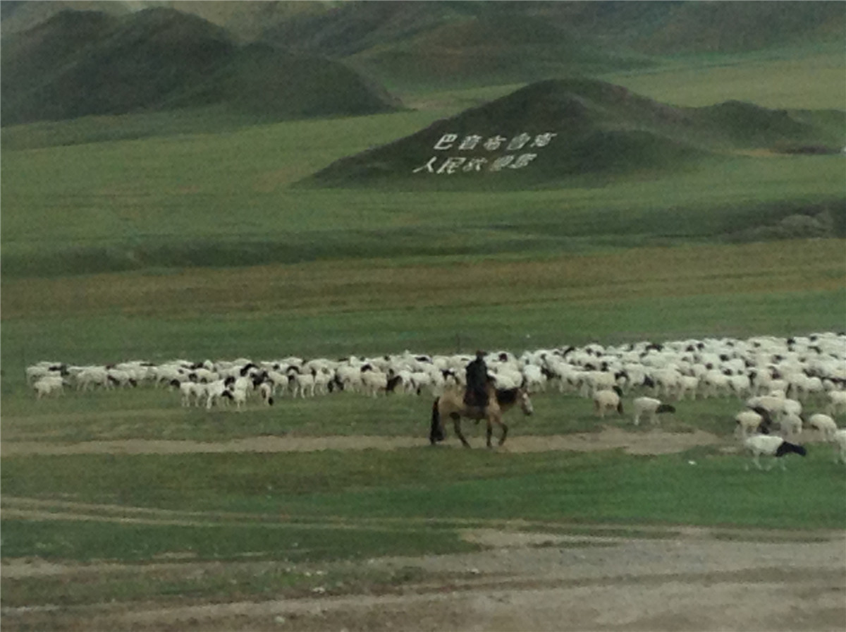 辽阔的草原绿色的歌完整版,辽阔的草原绿色的歌