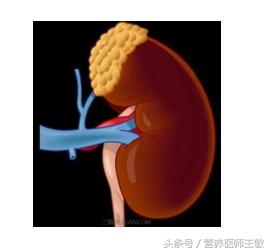 狼疮性肾炎生活及饮食宜忌,狼疮性肾炎患者日常生活注意事项