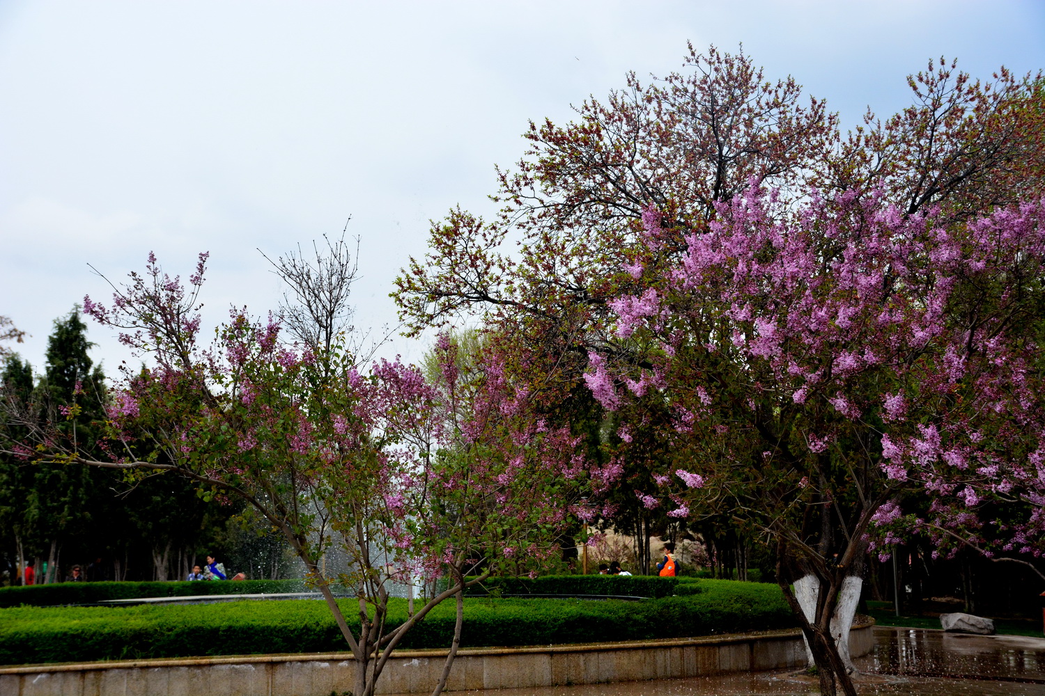 兰山公园在皋兰山上吗,站在兰山看风景