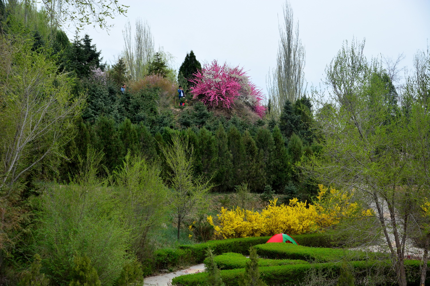 兰山公园在皋兰山上吗,站在兰山看风景