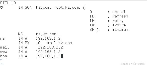 linux配置dns服务器步骤,在linux中dns服务器配置