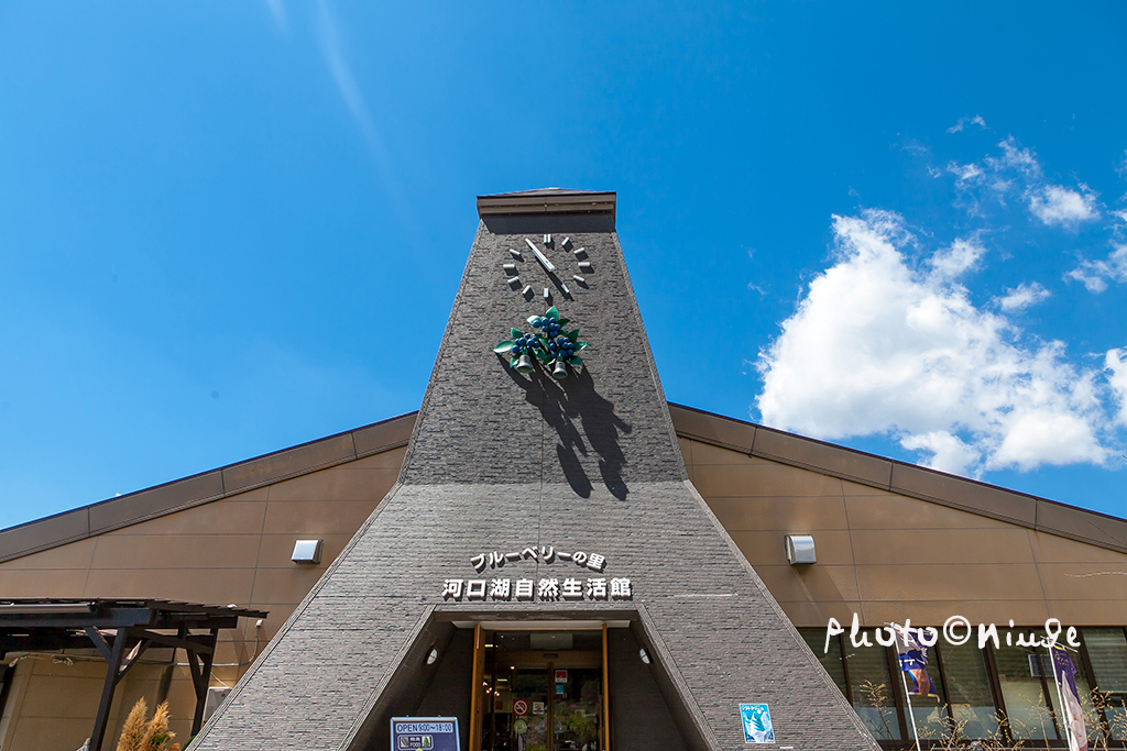 澳门航空空姐游东京 富士山下遇见最美的樱花