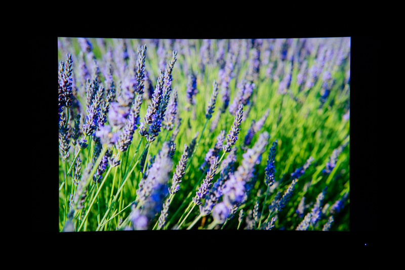 hkcg4plus显示器花屏,hkc的g40显示器评测