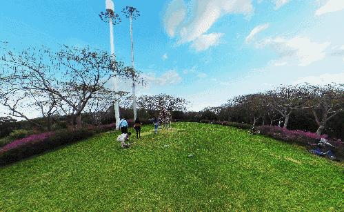 深圳东湖公园门票多少,深圳东湖公园要门票吗