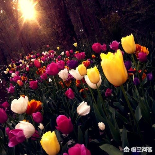 我们都喜欢美的事物,我们都喜欢一切美好的事物