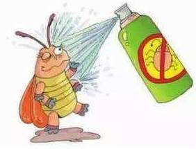 对付小强最有效方法,家庭消灭小强妙招