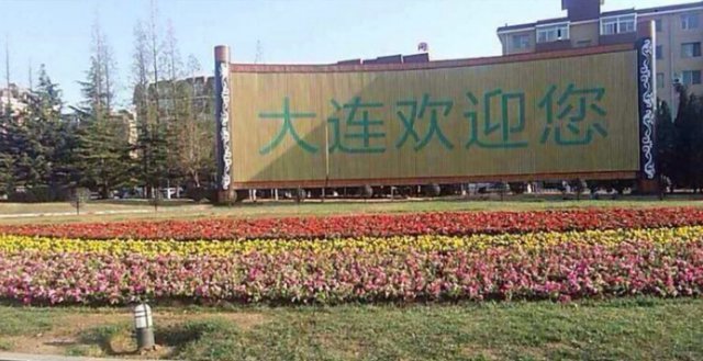 甘区清理一批“脖后灰”减少藏污纳垢死角