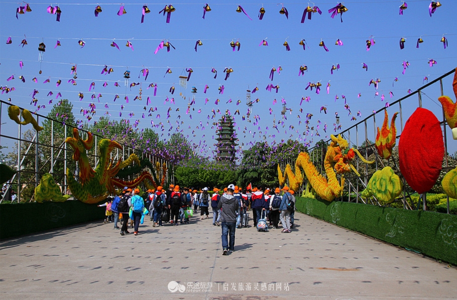 花园宝宝的萌宝,花园宝宝幼儿园里欢乐多