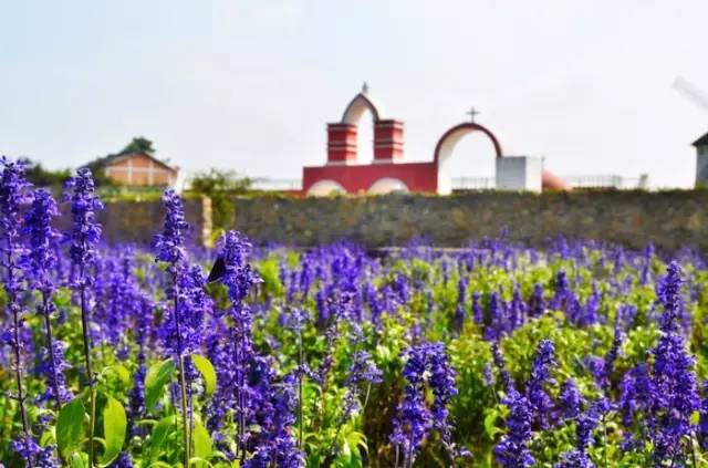 重庆五一节一日游景点推荐,五一重庆哪里玩