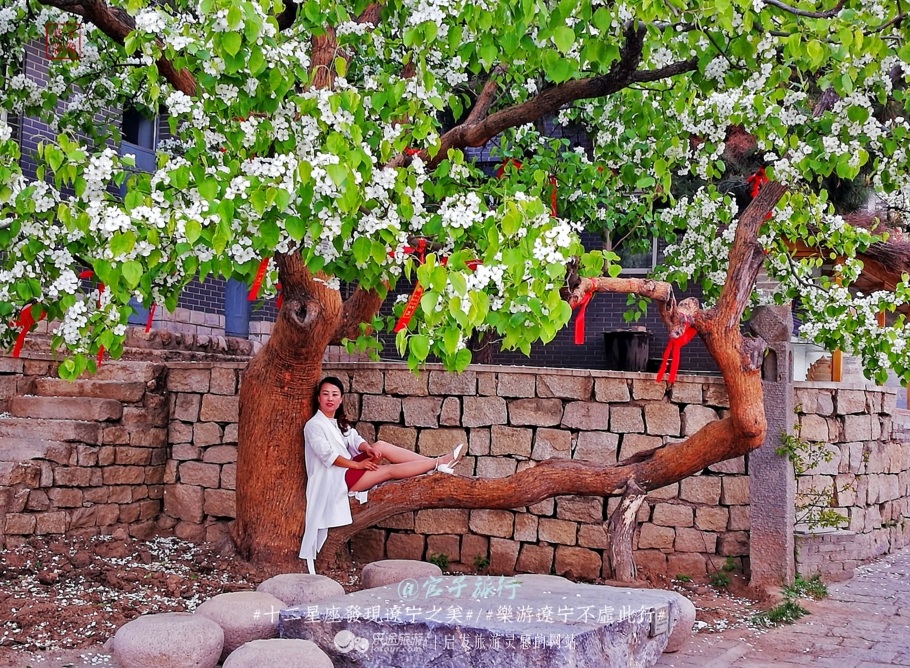 闾山四月梨花似海，源于大朝阳梨花老祖