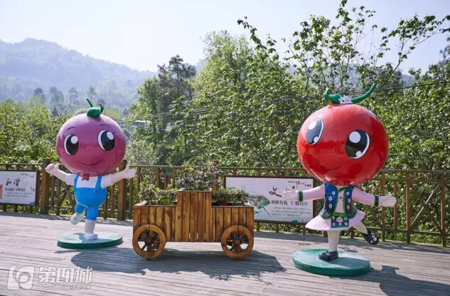 成都龙泉樱桃采摘地点附近,成都樱桃枇杷都能摘的地方