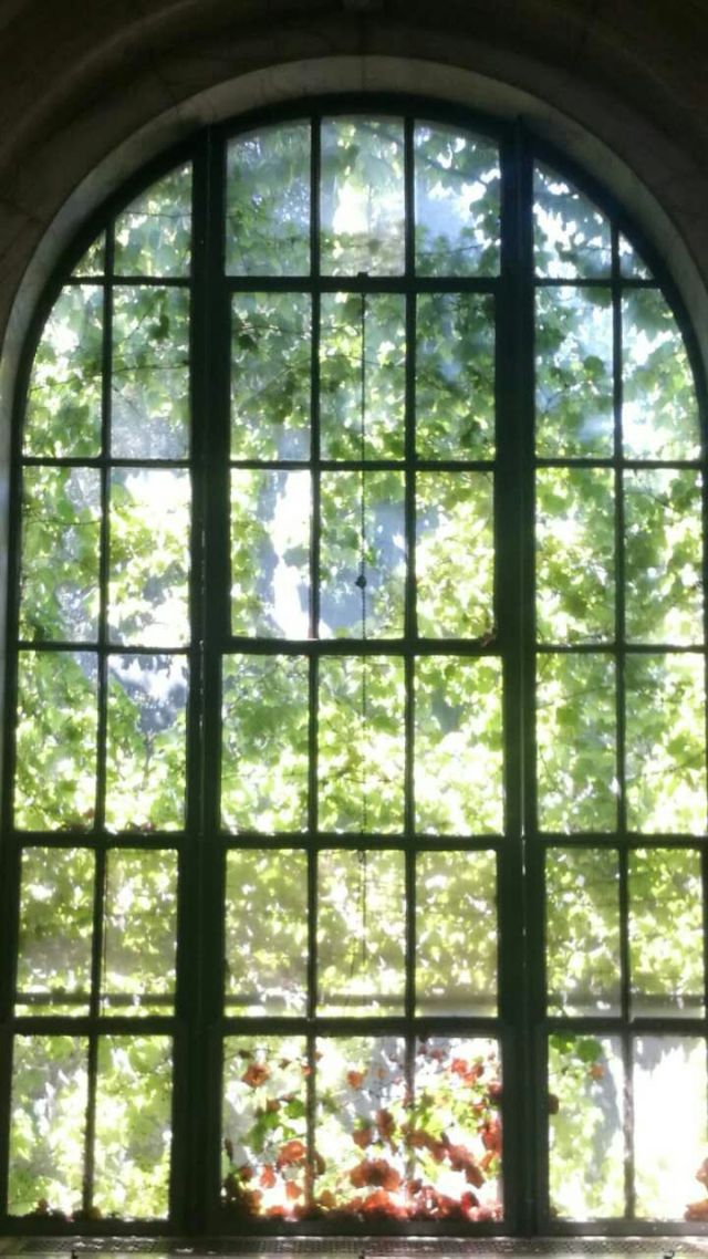 四月是你的生日伴奏,四月是你的生日手语舞完整版