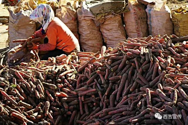 探寻劳动之美,诠释劳动之美