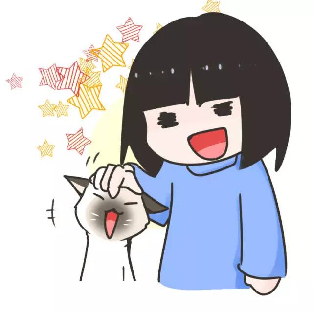 暹罗猫挖煤,挖煤队长暹罗猫