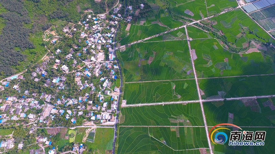 三亚文门村简介,三亚千年古寨文门村