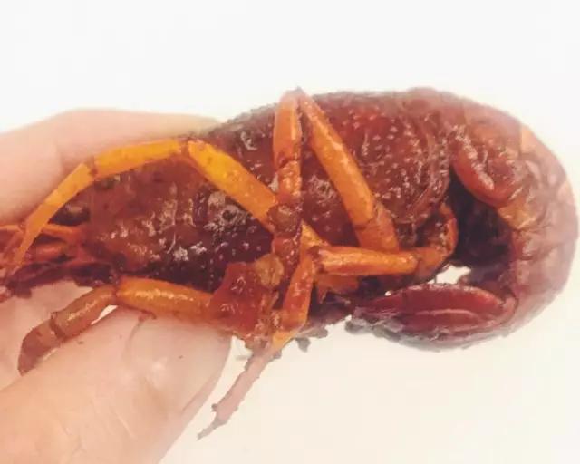 周黑鸭麻辣小龙虾,周黑鸭卖小龙虾吗