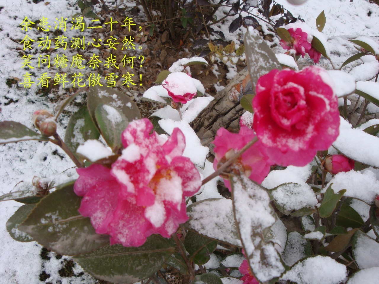 作为一名糖尿病患者，如何让自己快乐得令人羡慕？他做到了！